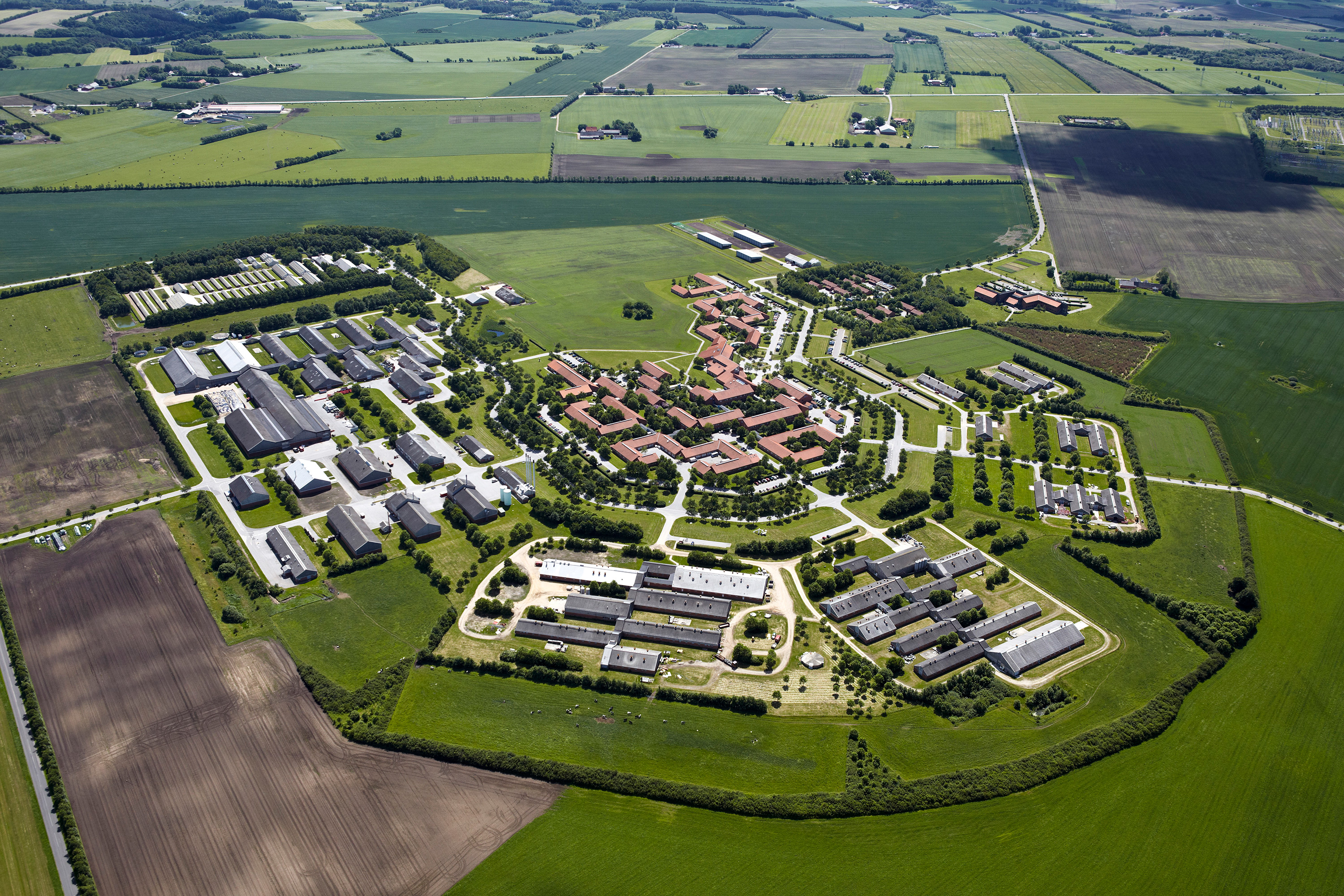 Aerial photograph of Aarhus University’s AU Viborg campus and surrounding agricultural land.