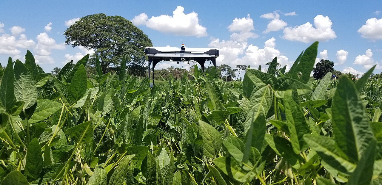 An earlier solar-powered Solix robot in a Brazilian field