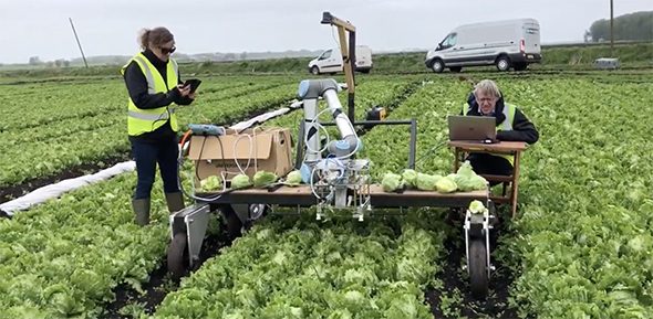 Vegebot during lettuce-harvesting field tests.