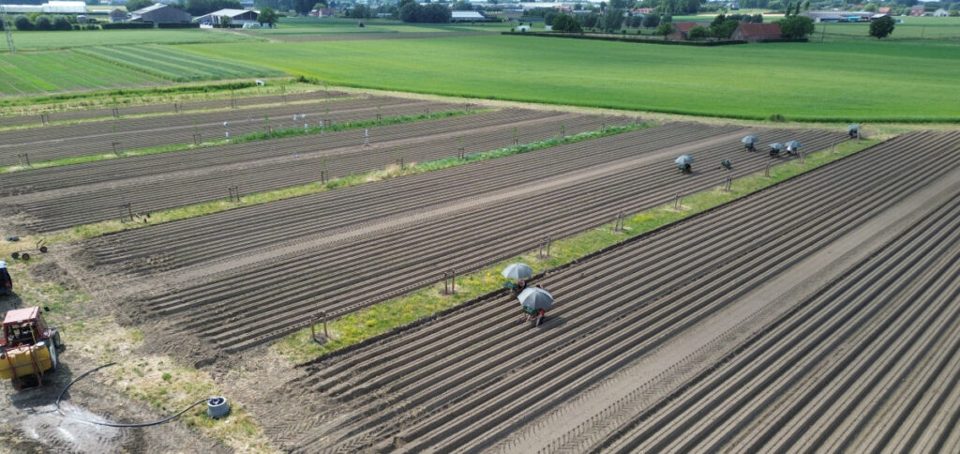 Agroforestry research plots at INAGRO in Flanders