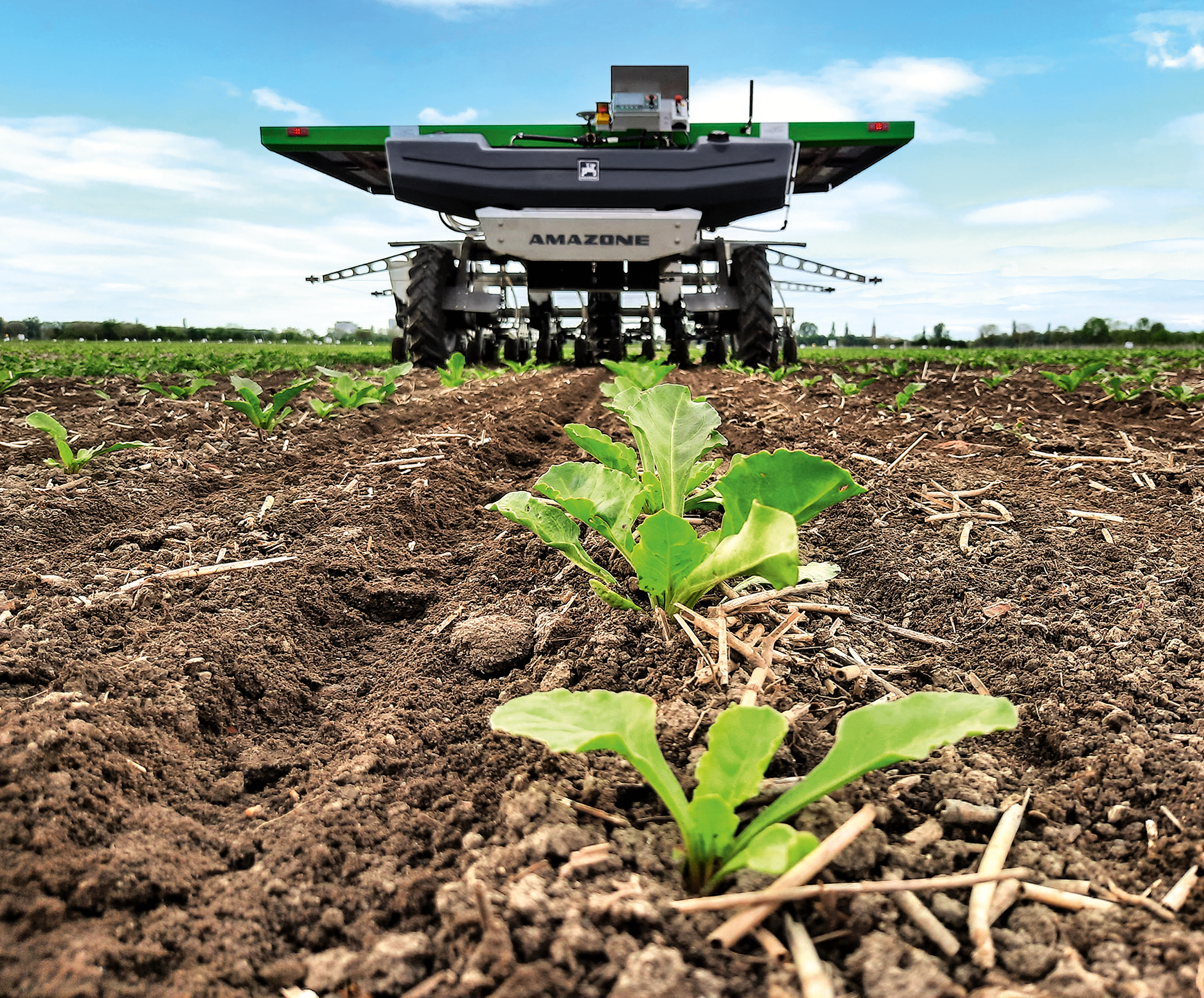A FarmDroid FD20 fitted with an AMAZONE precision-spraying attachment in a sugar-beet field.