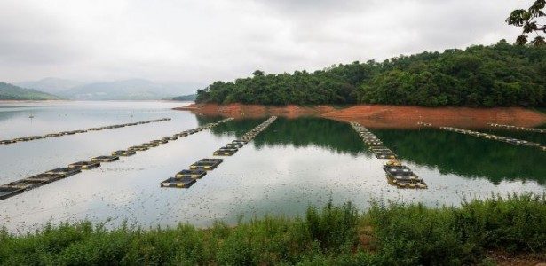 Water and planted slopes in the Caconde farming landscape