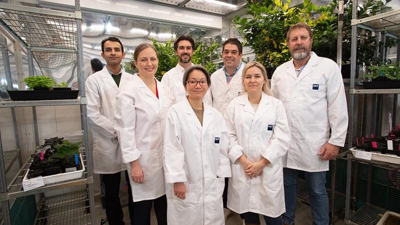 Members of the QUT orchard research team featured in the programme announcement.