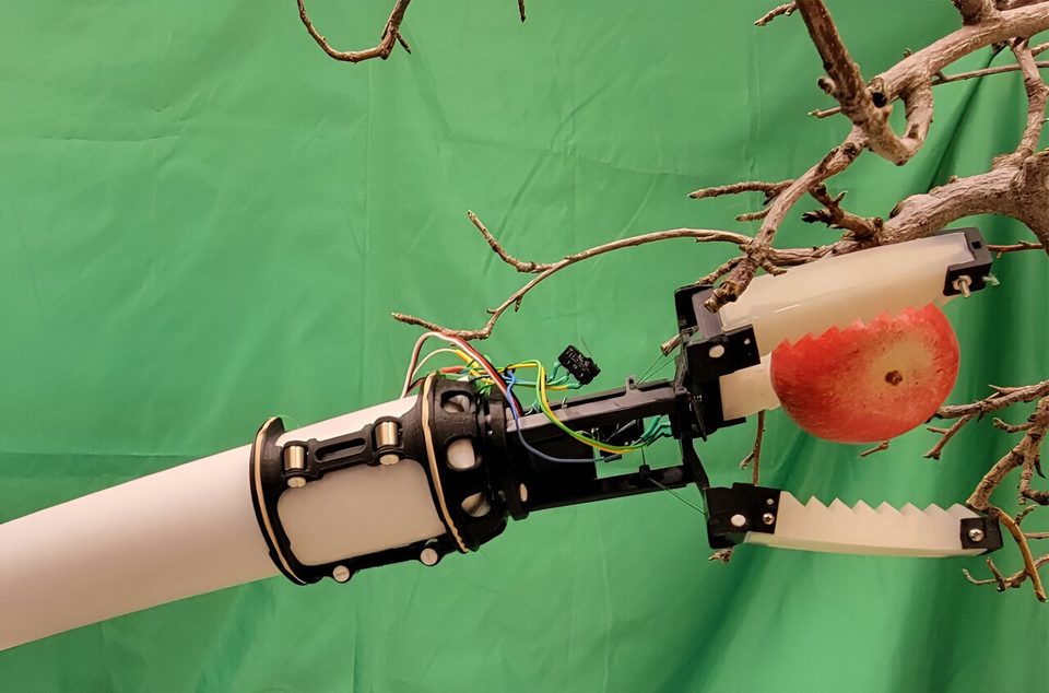The WSU apple-gripping prototype pictured in the original university release.