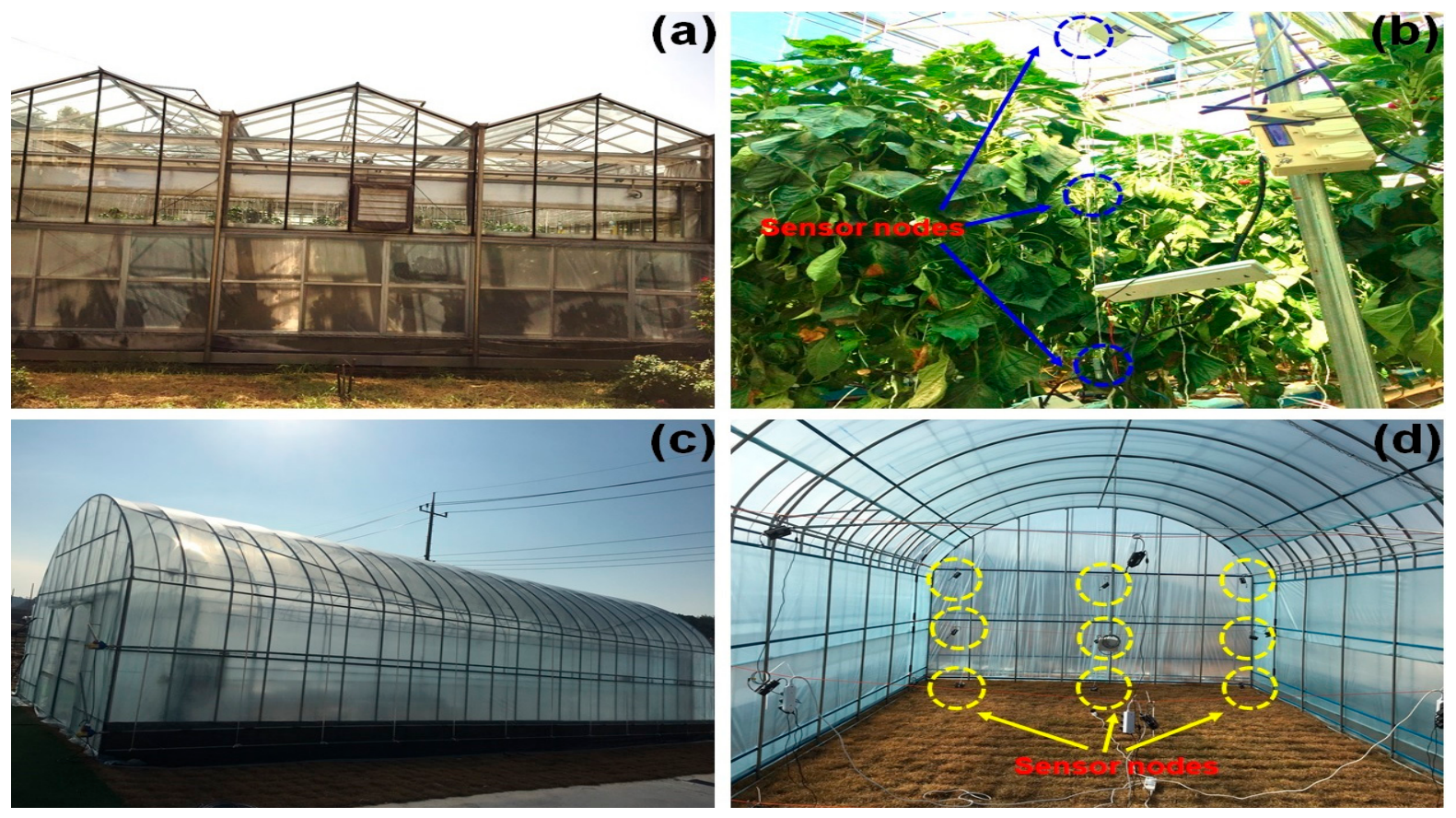 Photographs of glass and plastic greenhouses with sensors installed at different heights