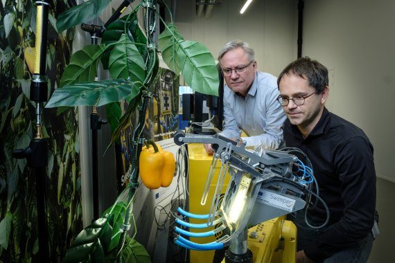 Jos Balendonck and Jochen Hemming examining the SWEEPER pepper robot