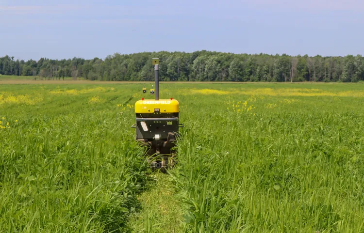 A yellow and black BOTONY autonomous weeding robot operating in a green agricultural field in Vermont.