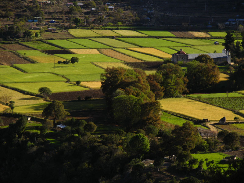 Patchwork of wheat fields and small buildings at Apola in Oaxaca, Mexico