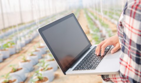 Person holding a laptop in a greenhouse
