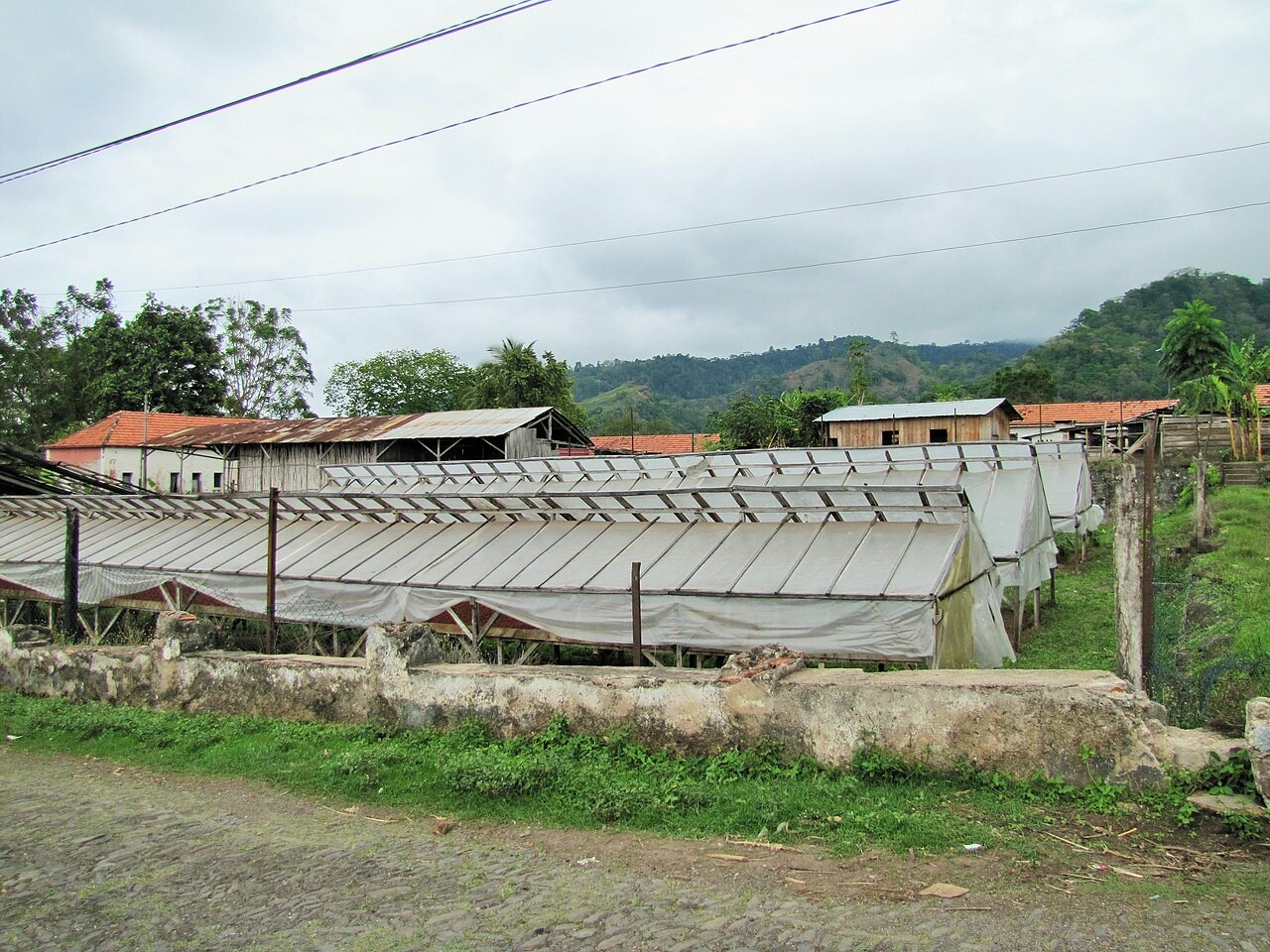 Cocoa drying shelters at Monteforte in São Tomé.