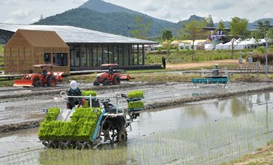 Paddy-field demonstration area at Kubota Farm in Thailand, shown in the August 2020 announcement.