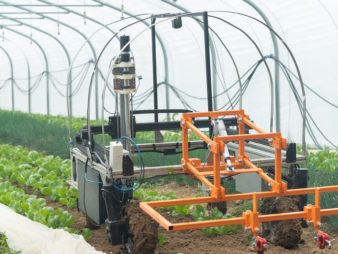 Small agricultural rover with an orange tool frame in a growing tunnel