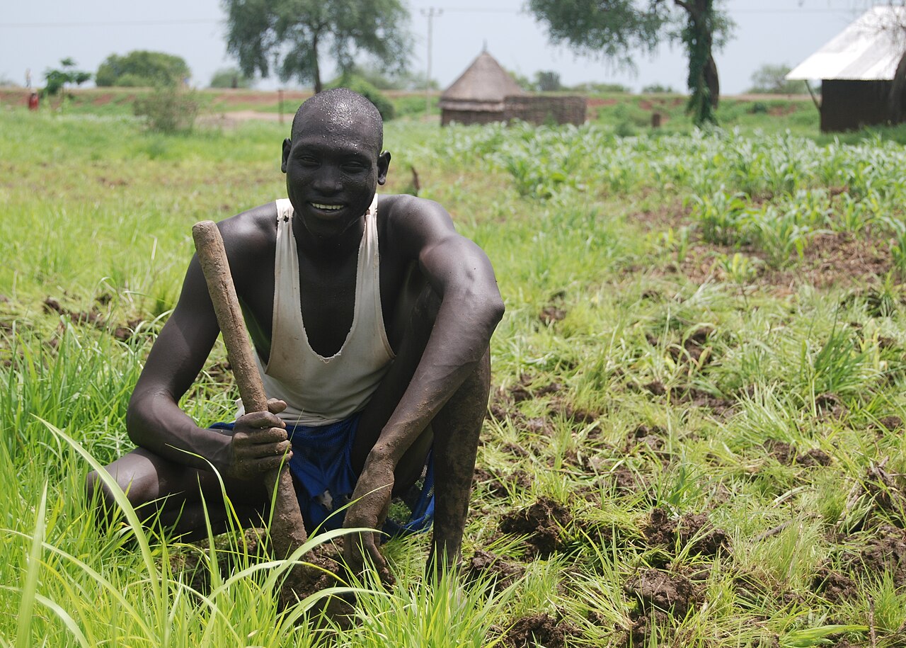 A farmer with a hand tool in a cultivated field in Gambella, Ethiopia