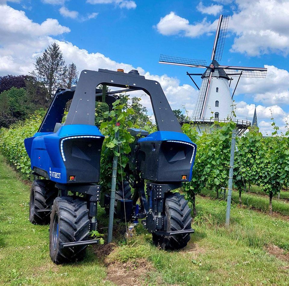 Blue VitiBot Bakus robot straddles a vineyard row.