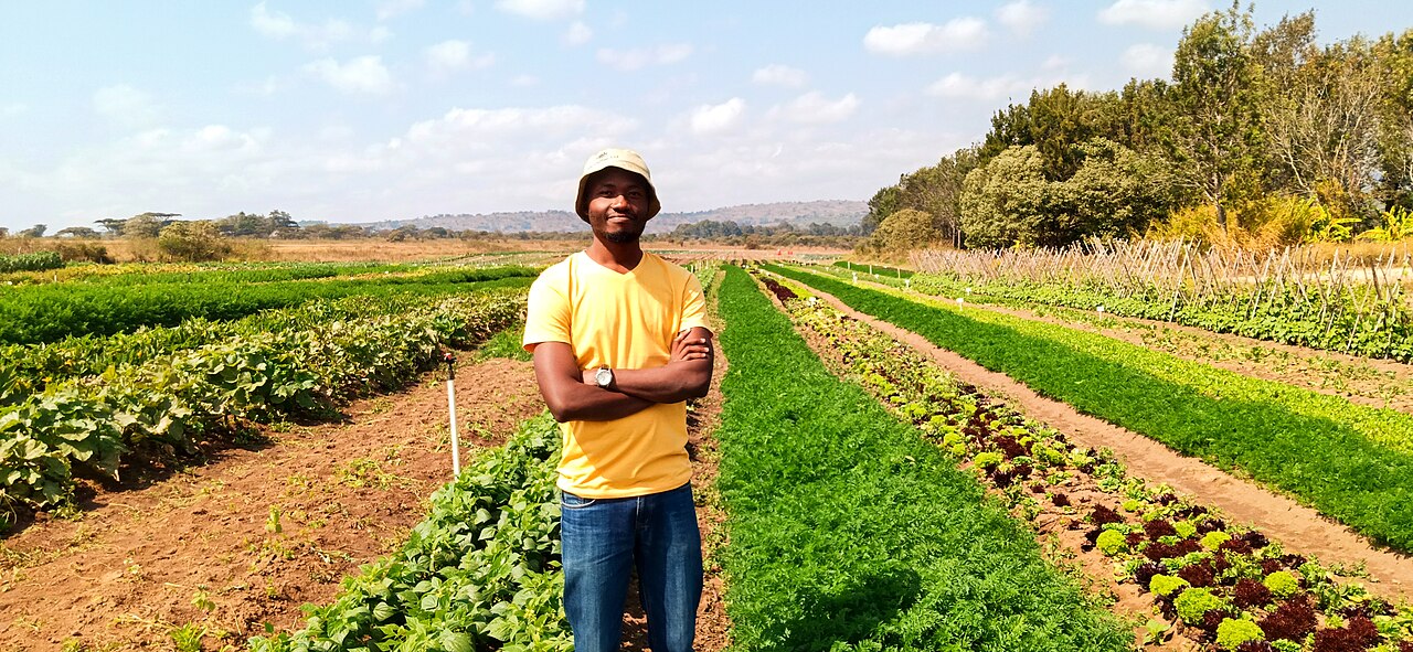 A man standing among vegetable beds at a farm in Iringa, Tanzania