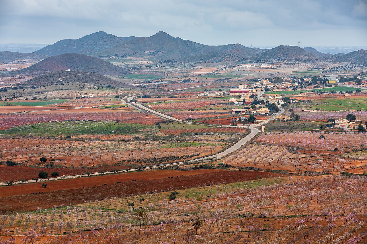 Agricultural fields and flowering orchard trees in the Cartagena area of Spain