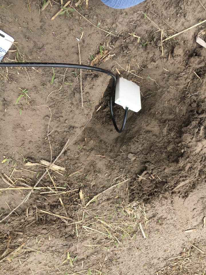 A white soil-moisture probe with a cable installed in an excavated patch of soil.