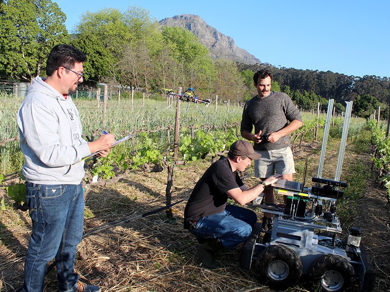 Researchers with a small robotic platform between vineyard rows.