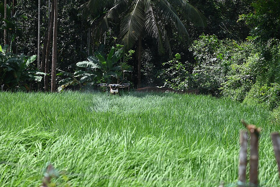 An agricultural drone spraying over a green paddy field.