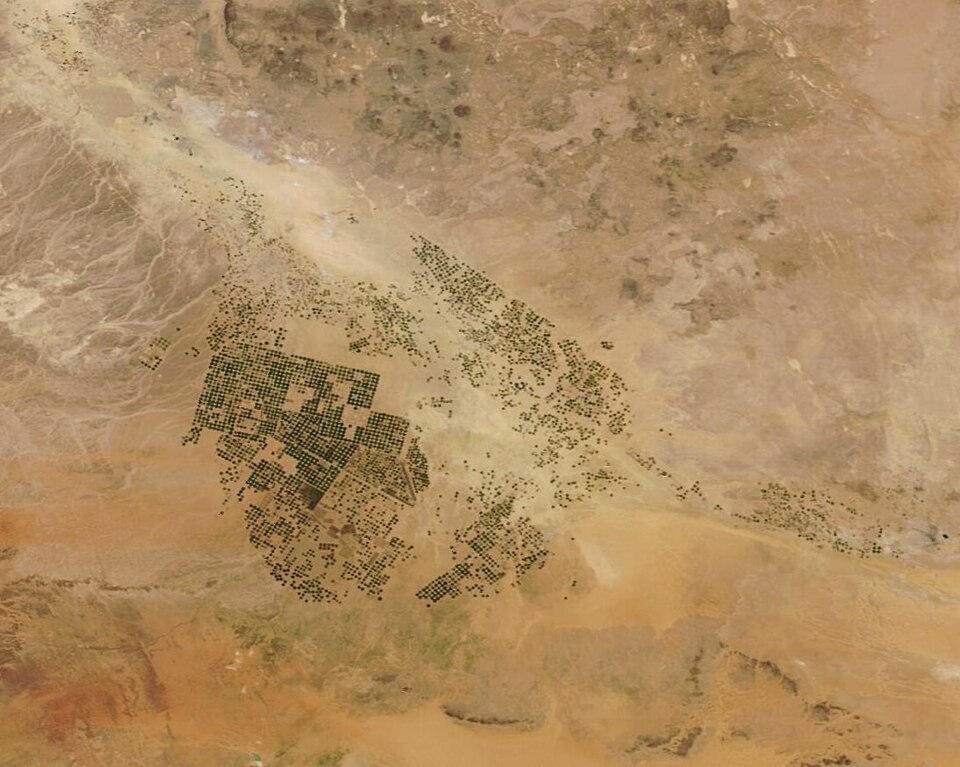 NASA Terra MODIS satellite image of irrigated fields in the Saudi desert.