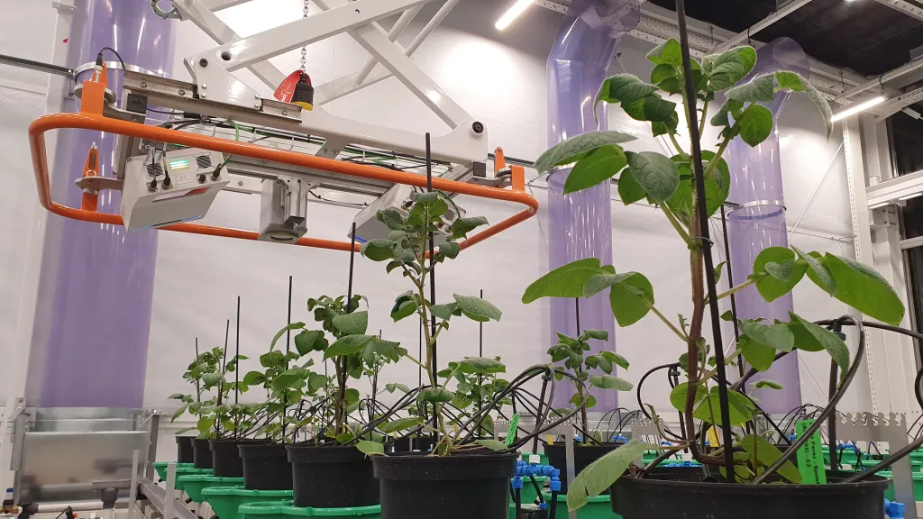Automated greenhouse handling system