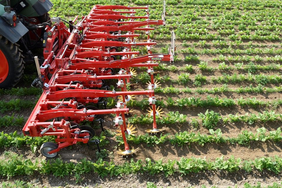 A tractor-mounted row-crop cultivator working between crop rows.