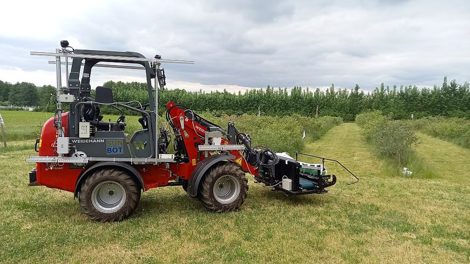 SunBot electric vehicle entering a row of berry bushes.