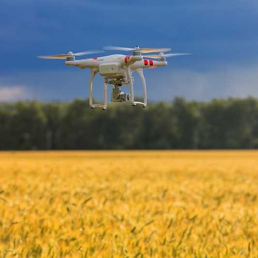 Small quadcopter flying over a crop field