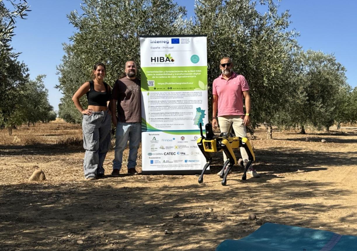 Autonomous quadruped agricultural robot presented by CTAEX during the AGRHOUND project demonstration in Spain.
