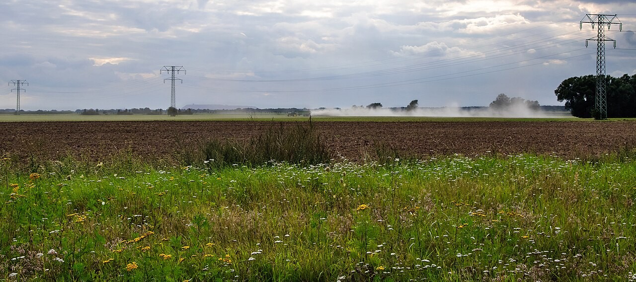 Agricultural fields in the Elbtalaue region of Germany.