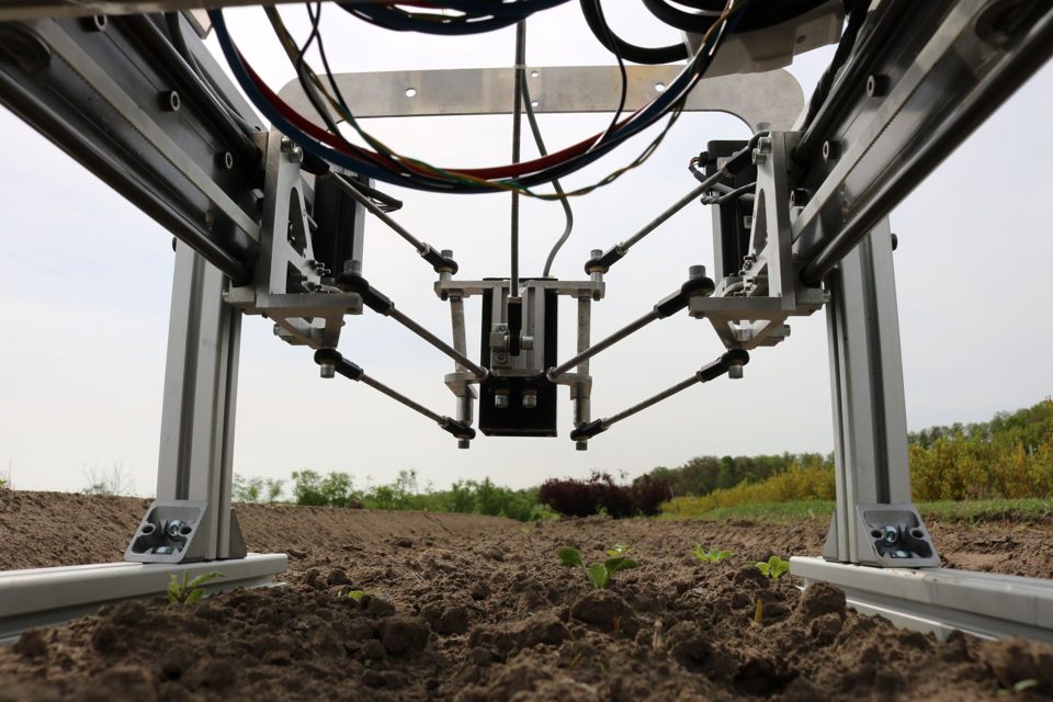 Laser positioning module above young plants in a field.