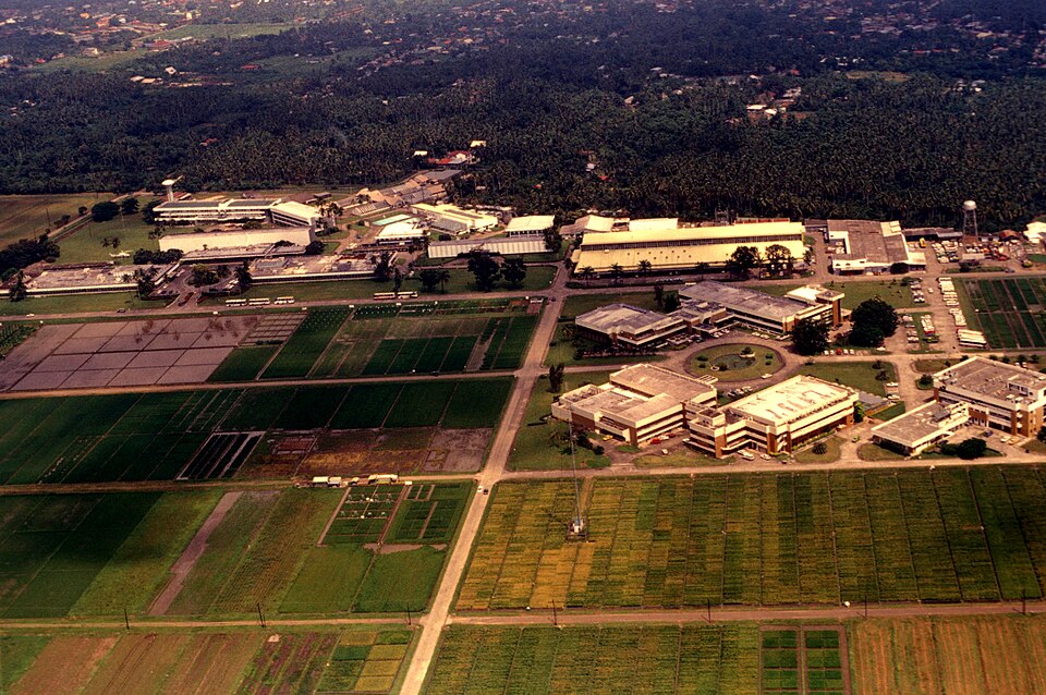 Aerial view of IRRI buildings and experimental plots at Los Baños in the Philippines.