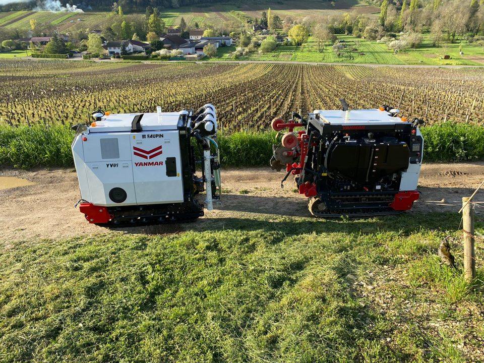 Yanmar YV01 robot working between vineyard rows, supplied with the partnership press release.