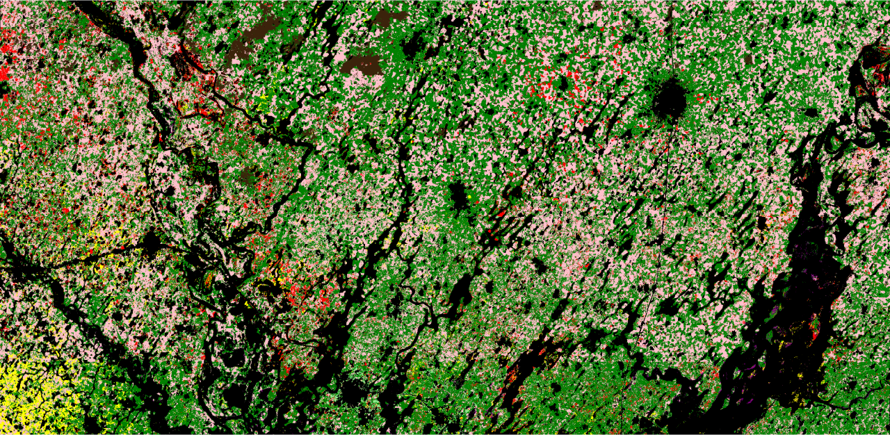 Satellite-derived Tessera crop classification map of Senegal's groundnut basin in 2021