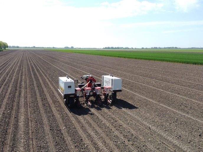 Agricultural robot operating in a cultivated field