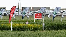 NAMPO Cape technology preview image supplied by Grain SA