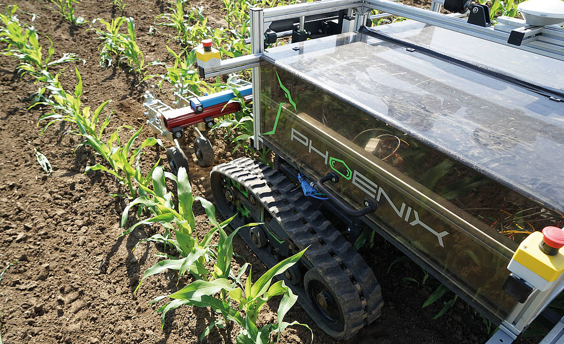 An agricultural field robot photographed in a field.